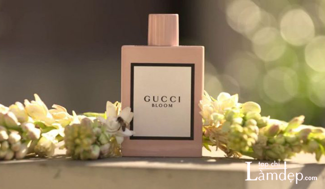 Nước hoa Gucci giá bao nhiêu? Mua ở đâu chính hãng? 