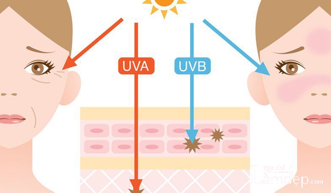 Các tia UVA UVB từ ánh nắng mặt trời sẽ gây hại tiêu cực cho da