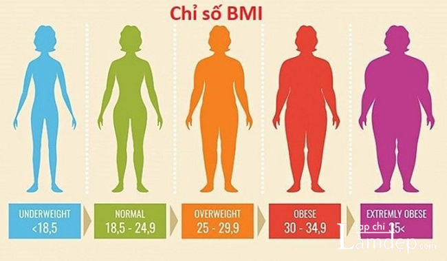 Chỉ số BMI trong ngưỡng 18.5 đến 24.9 là cơ thể bình thường