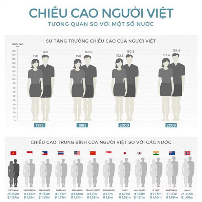 Chiều cao trung bình của người trưởng thành Việt Nam