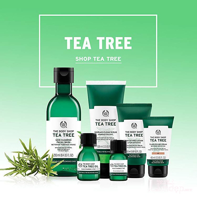 The Body Shop Tee Tree Oil là sản phẩm thiên nhiên lành tính