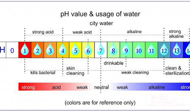 Bảng cân bằng độ pH của da 